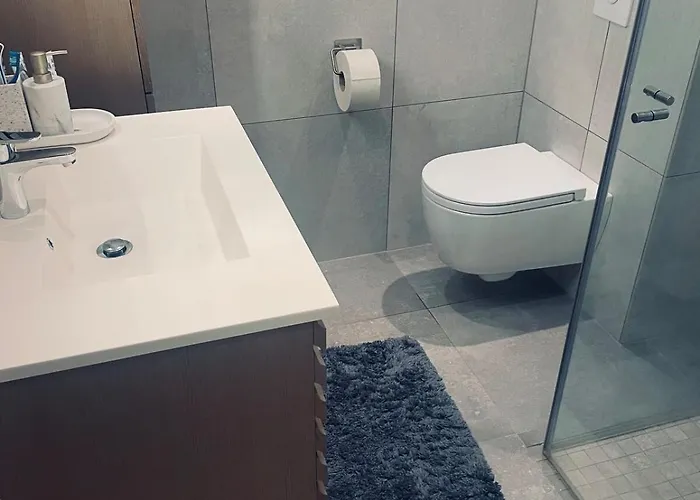 A Bright And Furnished Lejlighed