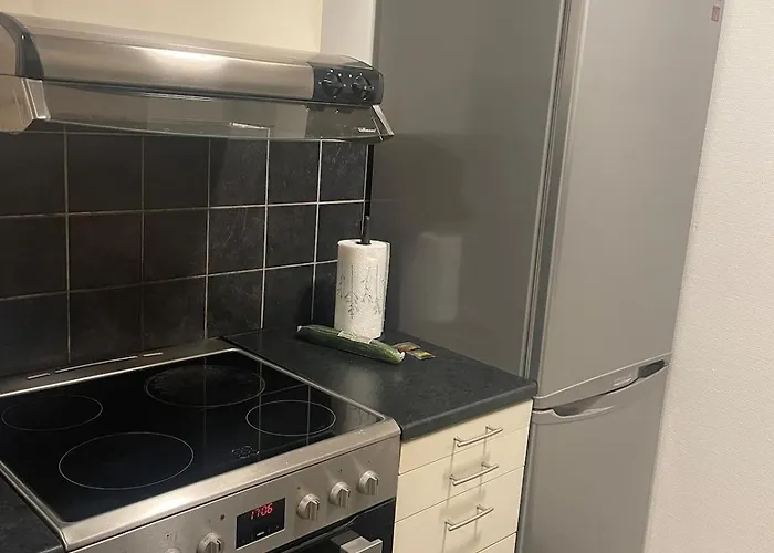 A Bright And Furnished Leilighet